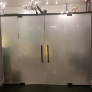 Custom Glass Double Door and Wall System