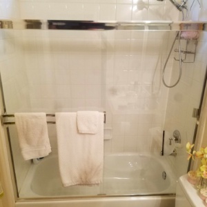 Shower Door Enclosure with Frame