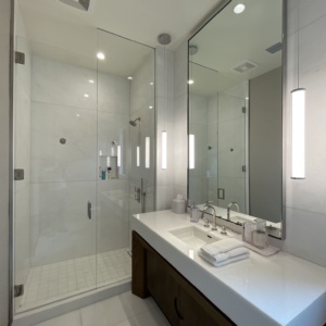 Frameless Shower Doors and Custom Mirror